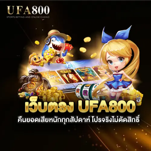 เว็บตรง-ufa800-คืนยอดเสียหนักทุกสัปดาห์
