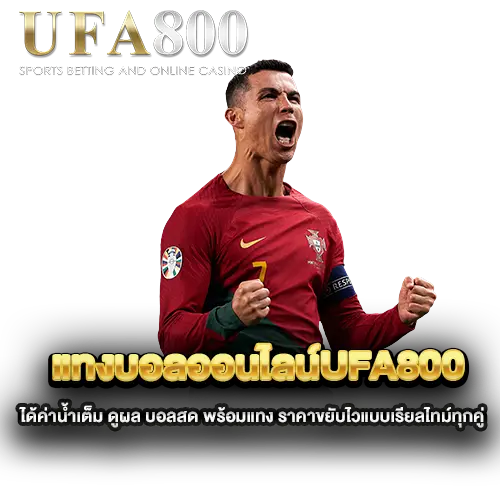 แทงบอลออนไลน์ufa800-ได้ค่าน้ำเต็ม-ดูผล-บอลสด-พร้อมแทง-ราคาขยับไวแบบเรียลไทม์ทุกคู่ แทงบอลออนไลน์ufa800-ได้ค่าน้ำเต็ม-ดูผล-บอลสด-พร้อมแทง-ราคาขยับไวแบบเรียลไทม์ทุกคู่
